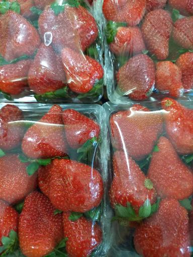 عکس میوه وتره بار سیرتی