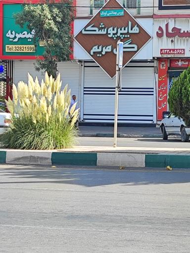 عکس هایپر پوشک گل مریم