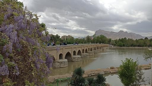 عکس پل مارنان