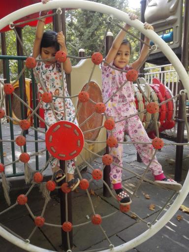 عکس بوستان گل محمدی