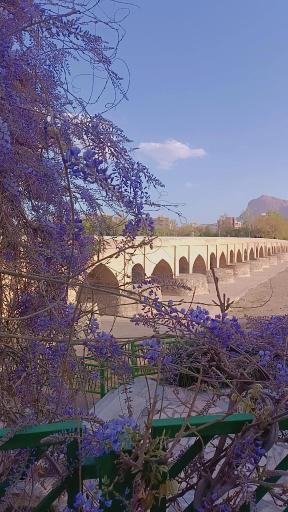 عکس پل مارنان
