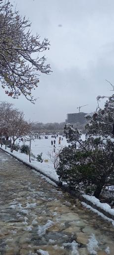 عکس پل مارنان
