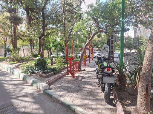 عکس فضای سبز 