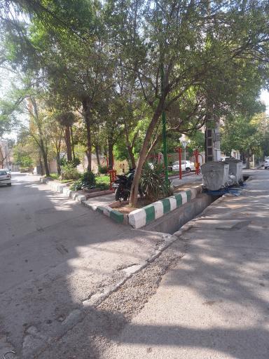 عکس فضای سبز 
