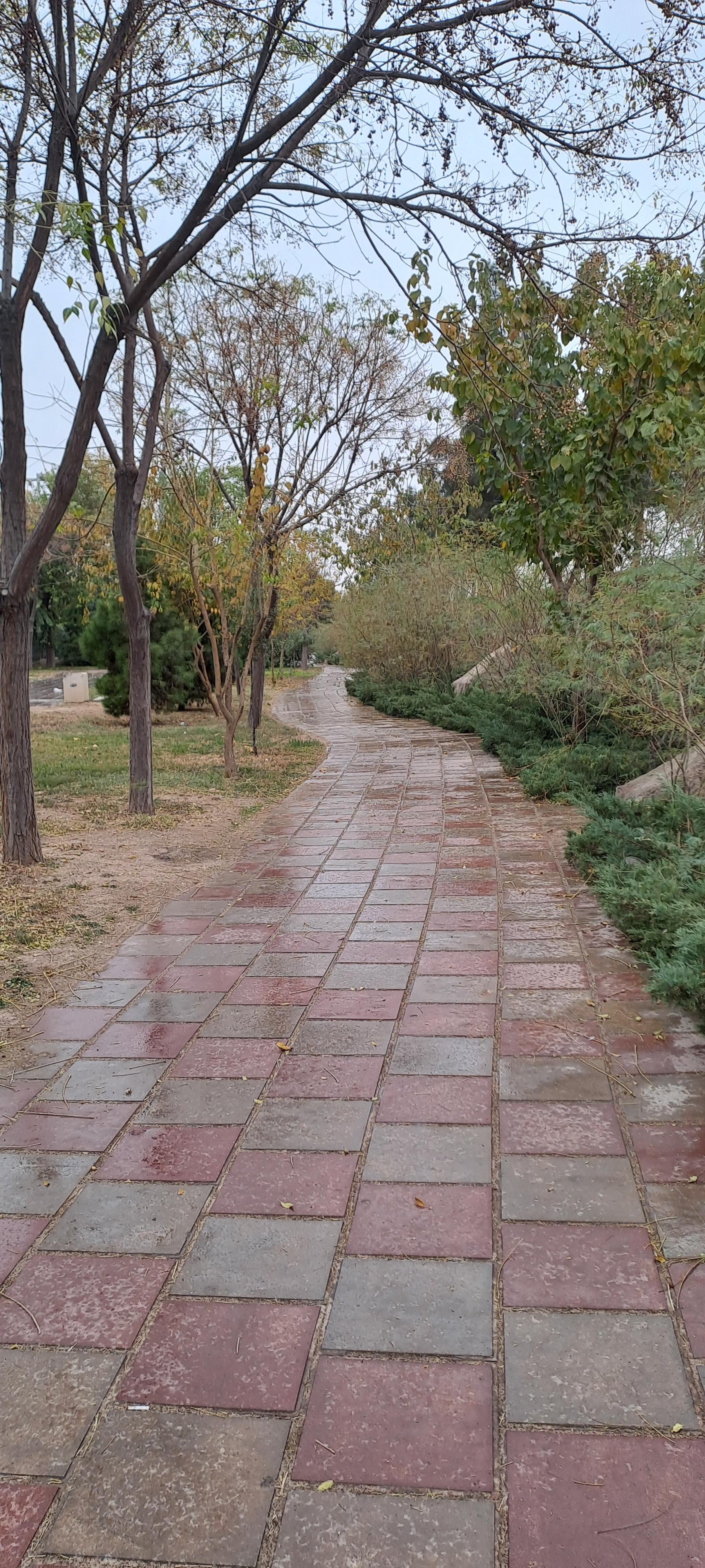 عکس بوستان نور