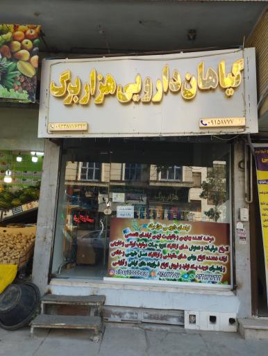 عکس گیاهان دارویی هزاربرگ
