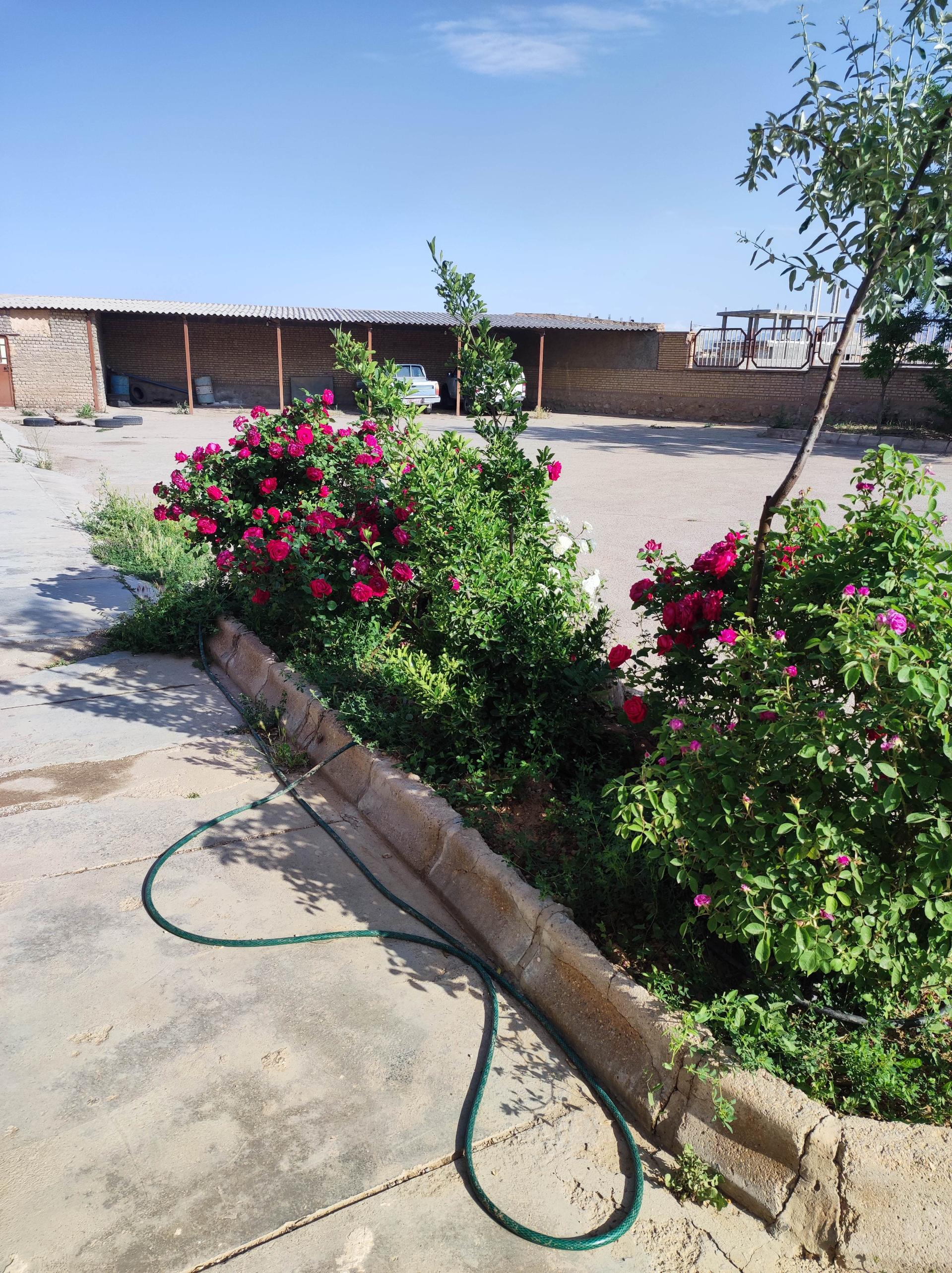 عکس اداره دامپزشکی اسفراین