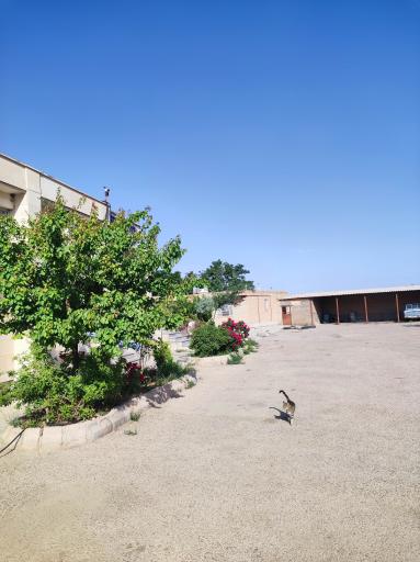 عکس اداره دامپزشکی اسفراین