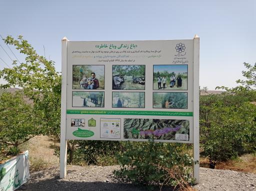 عکس باغ زندگی