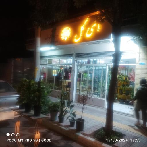 عکس گل فروشی آی گل