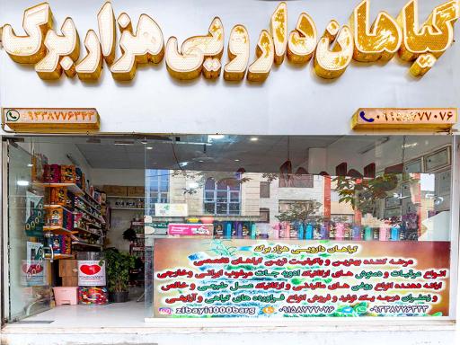گیاهان دارویی هزاربرگ