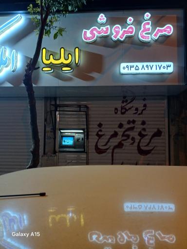 عکس مرغ فروشی ایلیا