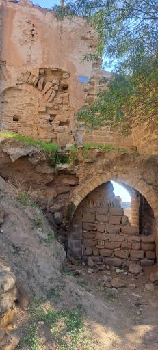 عکس باغ خان