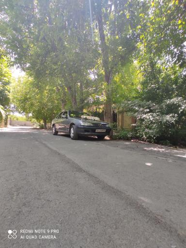 عکس باغ و آتلیه قاصدک