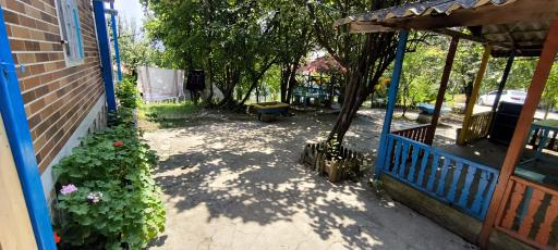 عکس کلبه جنگلی هلی تی تی