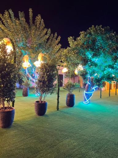 عکس باغ تالار رادین