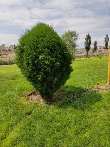 عکس پارک ساحلی پردیس