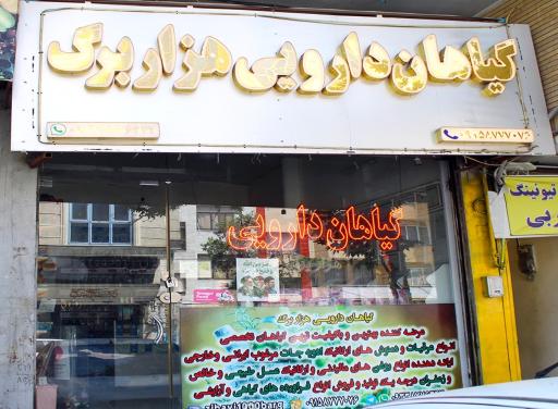 عکس گیاهان دارویی هزاربرگ