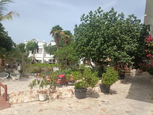 عکس هتل پارس نیک کیش