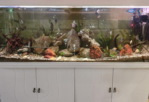 عکس هتل مرمر       قزوین