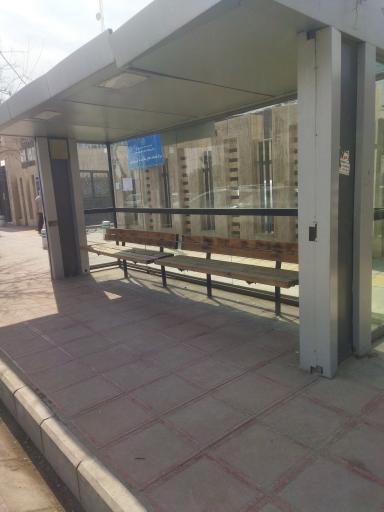 عکس  صبا غربی 11