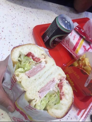 عکس ساندویچ هایدا