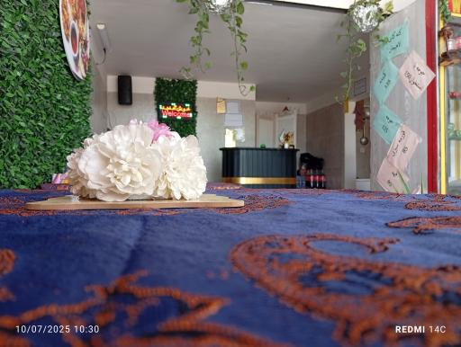 عکس تهیه غذا و کته کبابی لاهیجان