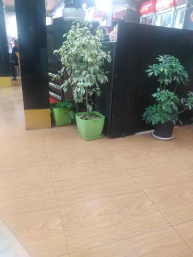 عکس فست‌فود آوازه