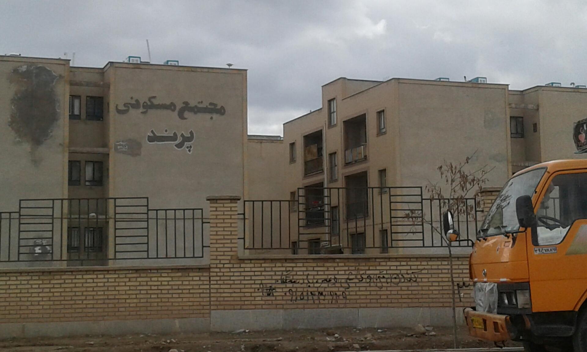 عکس مجتمع پرند