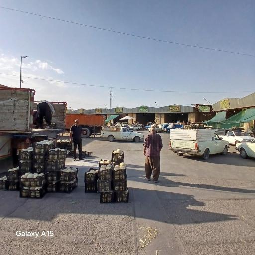 عکس میدان میوه و تره بار کاشان