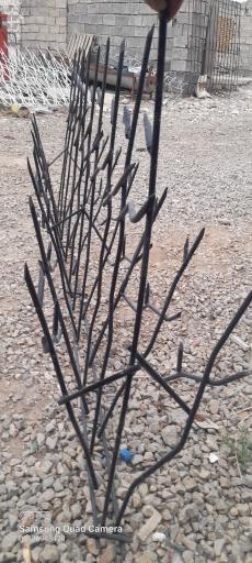 عکس نرده شاخ گوزنی زاگرس حفاظ