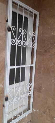 عکس نرده شاخ گوزنی زاگرس حفاظ