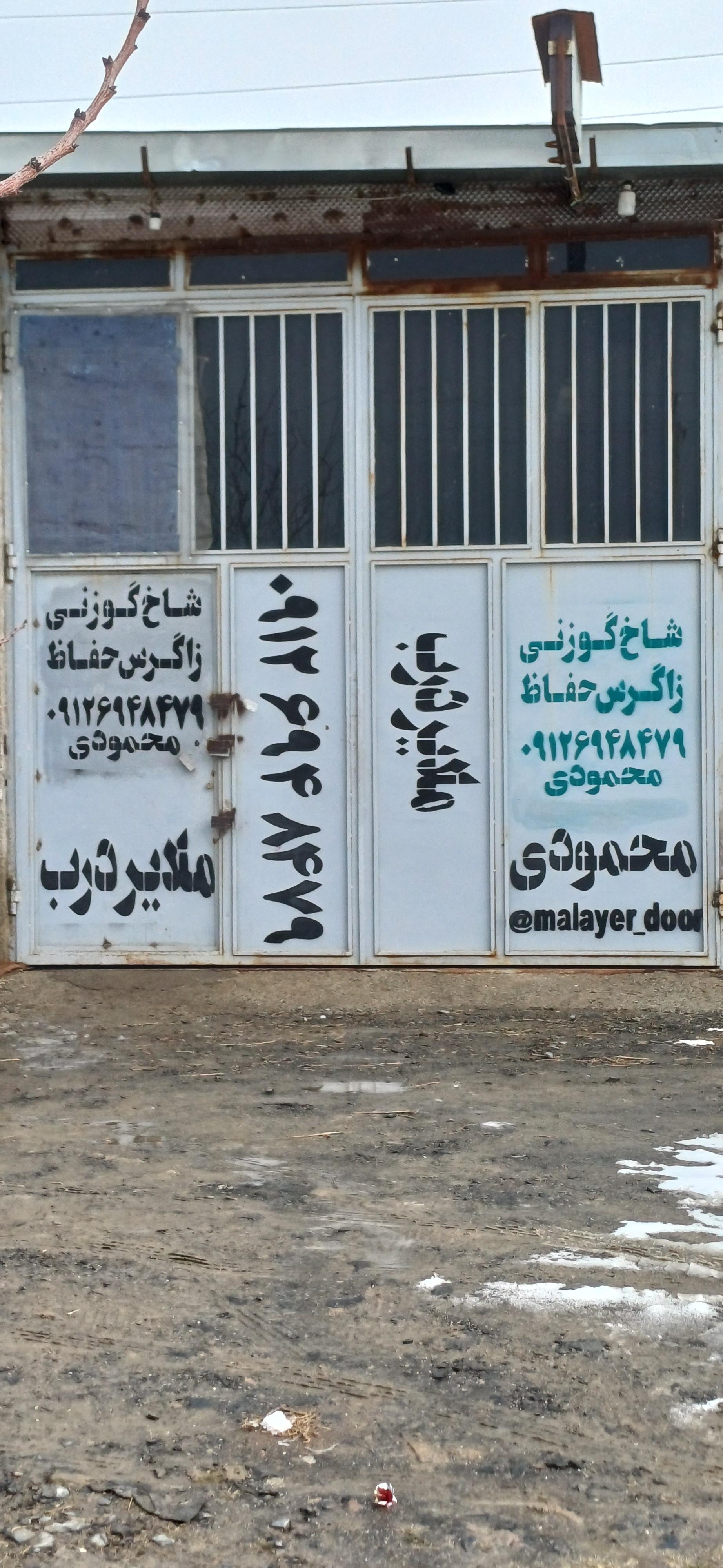 عکس شاخ گوزنی زاگرس حفاظ