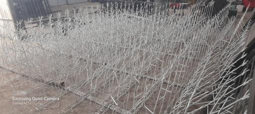 عکس نرده شاخ گوزنی زاگرس حفاظ