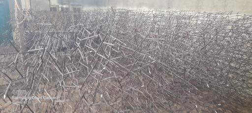 عکس نرده شاخ گوزنی زاگرس حفاظ