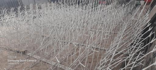 عکس نرده شاخ گوزنی زاگرس حفاظ