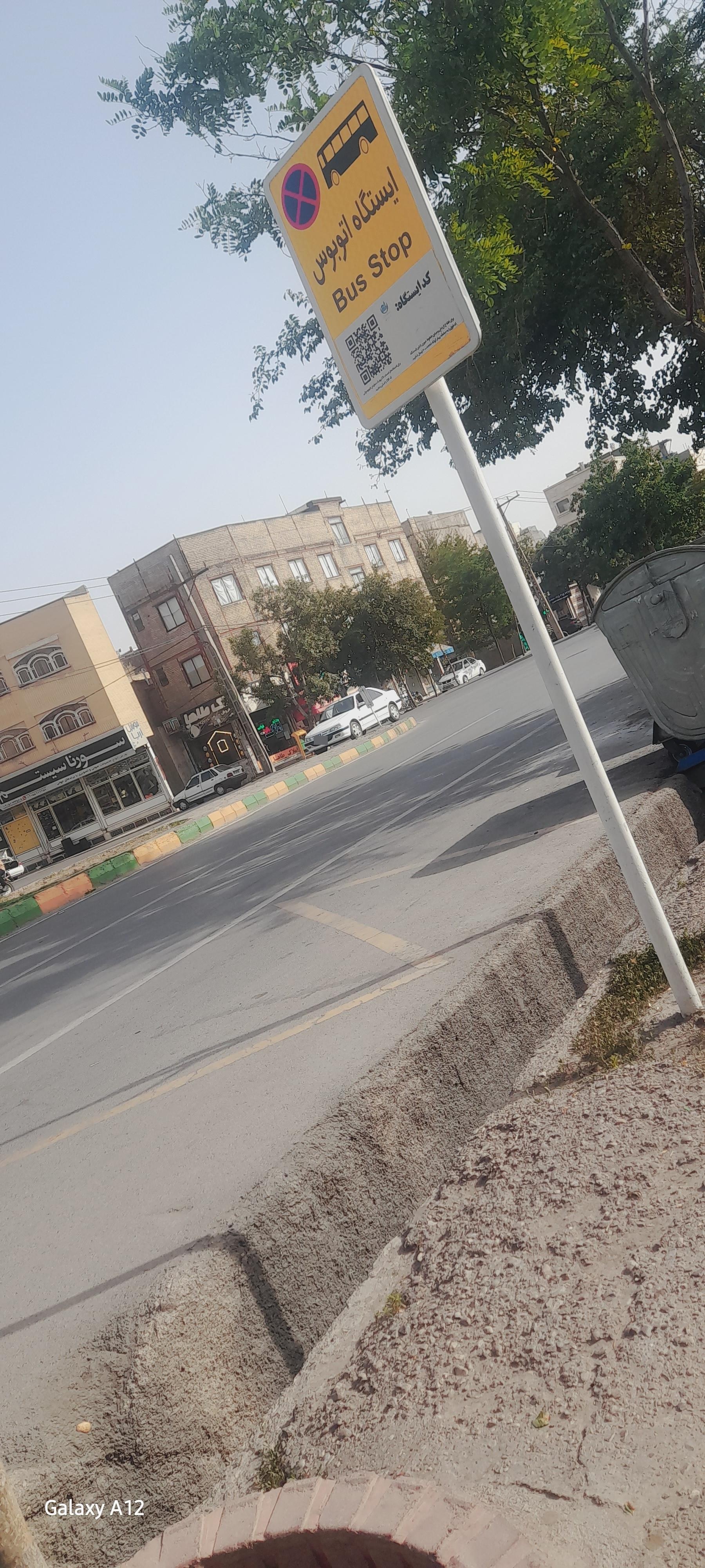 عکس  چمن 28