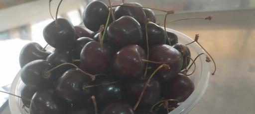 عکس میوه فروشی دشتبانی