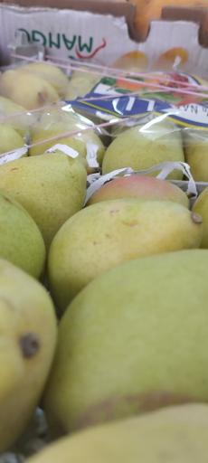 عکس میوه فروشی دشتبانی