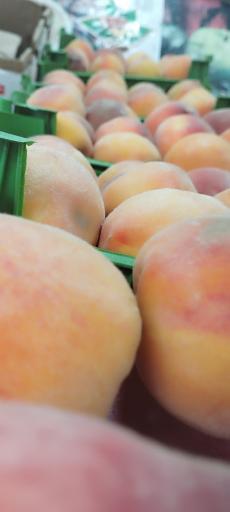 عکس میوه فروشی دشتبانی