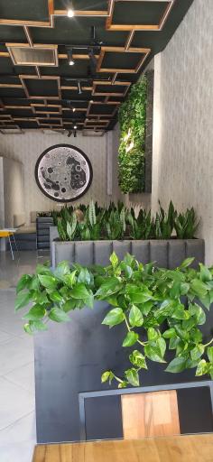 عکس رستوران لاویز