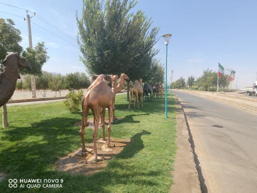 عکس بوستان کوهستان یزد