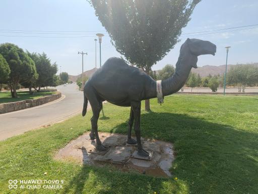 عکس بوستان کوهستان یزد