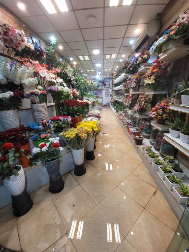 عکس بازار گل و گیاہ تعاون