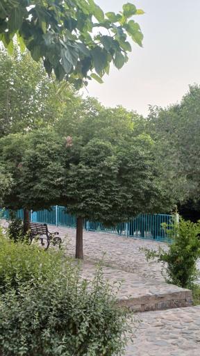 عکس بوستان کوهستان یزد