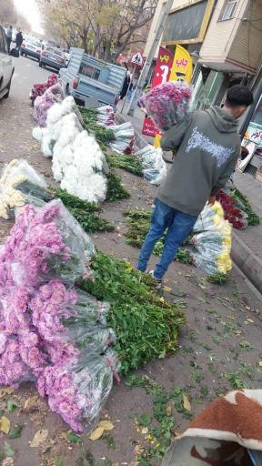 عکس تشریفات و گل فروشی خانم گل