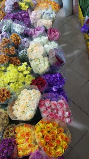 عکس تشریفات و گل فروشی خانم گل