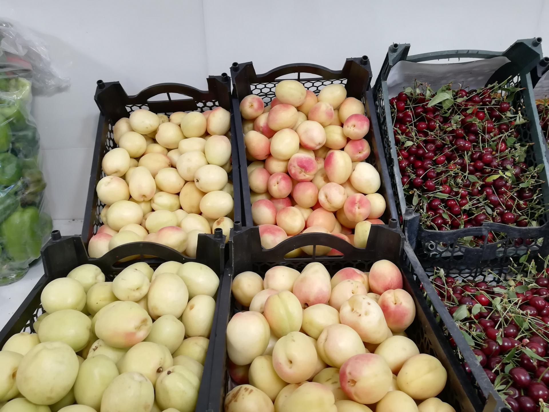 عکس میوه فروشی باغ میوه