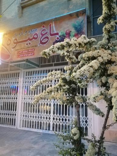 میوه فروشی باغ میوه