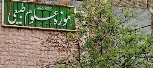 عکس موزه علوم طبیعی 